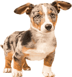 怎样充值最安全的DDOS网页端